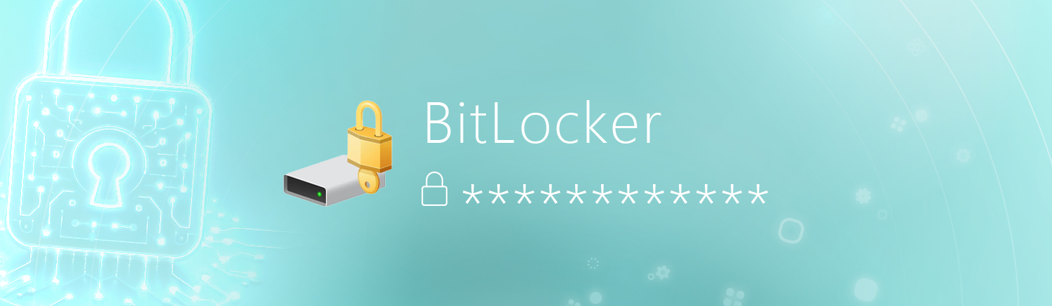 Windows 11 Bitclocker