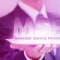 Managed Service Provider (MSP)