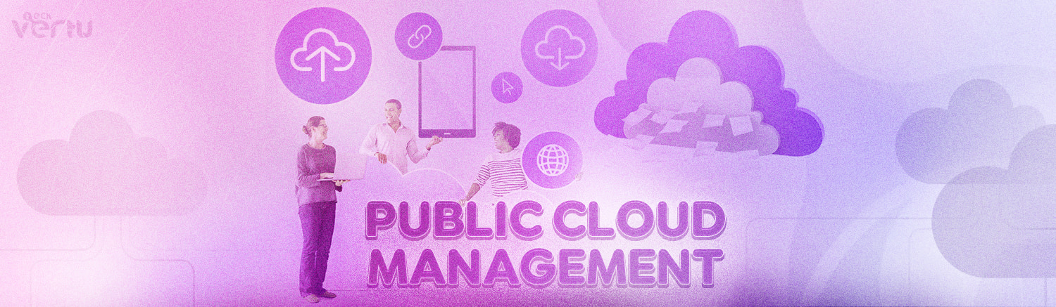 Public cloud management services